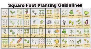 Square Foot Gardening Spacing Sample Ft 2 Garden Layout For