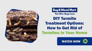 diy termite treatment options how to