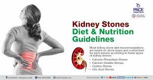 kidney stones t and nutrition