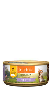 This instinct raw cat food has one of the most insightful ingredient compositions that will get pet owners pumped to purchase this food for their cat. Instinct Real Chicken Recipe For Kittens Instinct Pet Food