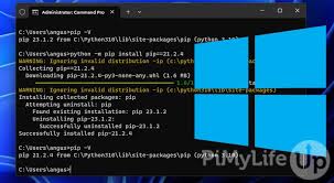 how to install pip on windows pi my