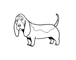See more ideas about dog coloring page, coloring pages, dog drawing. A Basset Hound Coloring Page Coloringcrew Com