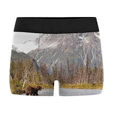 Interestprint Mens Boxer Briefs Underwear Brown Bear Hunting