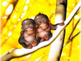 cute baby monkeys wallpapers