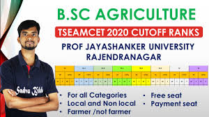 prof jayashanker university