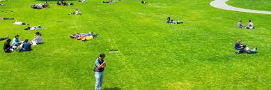 Yerba Buena Gardens Relax In Green