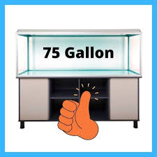 fish tank 75 gallon for beginners pet