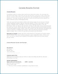Best Resume Style Resume Template For Skills Style Resume Format
