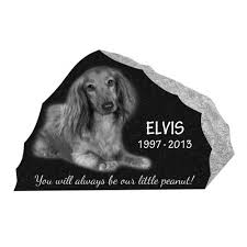 urns for pet ashes cremation solutions