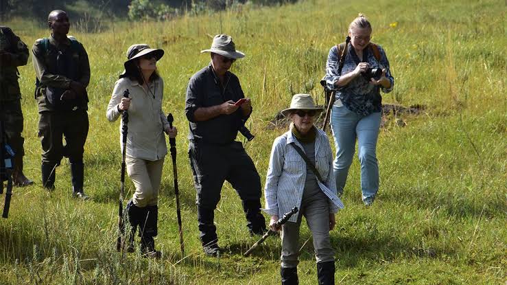 What to wear for gorilla tracking in Uganda and Rwanda — handy guide