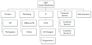 Organization Flow Chart Jasonkellyphoto Co
