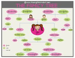 رسم شجرة العائلة بالانجليزية 4 متوسط