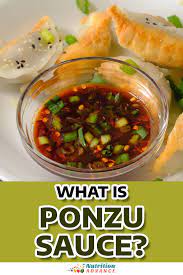 what is ponzu sauce characteristics