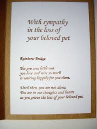 50% off with code zweddingplan. 19 Pet Sympathy Cards Ideas Pet Sympathy Cards Pet Sympathy Sympathy Cards