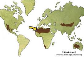 World deserts map sahara desert location map stock vector. Sahara Desert Of Africa