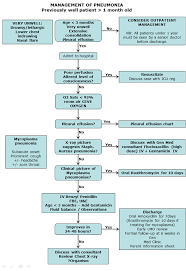 Clinical Practice Guidelines Management Of Pneumonia