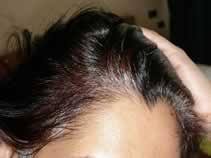 indigo plant hair dye natural hair