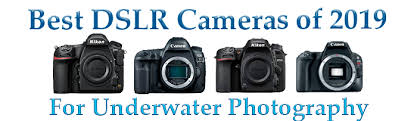 Dslr Camera Comparison Chart Bluewater Photo