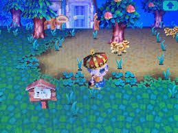 Royal shell has more than 500 vacation rental homes on sanibel and captiva islands and about 1,500 mainland and island homes throughout southwest florida, and in ocala and north carolina. 10 Years Later We Return To Our Abandoned Animal Crossing Wild World Village Feature Nintendo Life