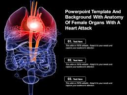 Myocardial infarction (mi) (colloquially known as a heart attack). Powerpoint Template And Background With Anatomy Of Female Organs With A Heart Attack Presentation Graphics Presentation Powerpoint Example Slide Templates