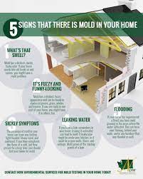 mold testing seattle 5 signs that