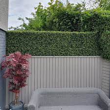Boxwood Natural Artificial Hedge Tiles