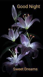 Pin by Jongsawad H on good night | Good night flowers, Good night  blessings, Good night gif