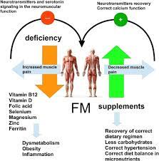 fibromyalgia and nutrition theutic