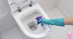 Tuvalet taşı nasıl beyazlatılır sararmış tuvalet taşı nasıl temizlenir. Sararmis Tuvalet Lekeleri Nasil Gecilir Kadinlar Kulubu