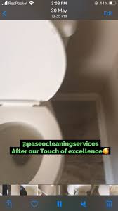 paseo cleaning services reviews el