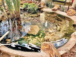 new pond aquaponics build for