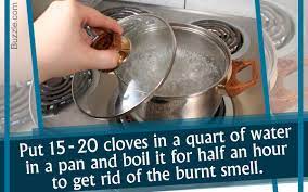 get rid of burnt smell naturally
