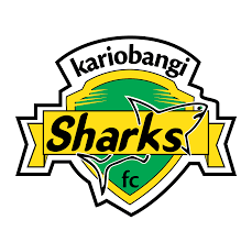 Download logo uefa euro 2020 icon svg eps png psd ai vector color free uefa l… read more final euro 2021. Kariobangi Sharks Kenyan Premier League