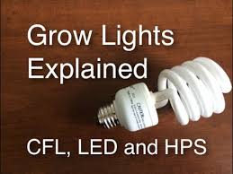 Grow Lights Explained Cfl Led And Hps Easy And Cheap To Efficient And Expensive Youtube