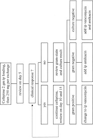 Flow Chart Of Peritonitis Management Using Cefepime As