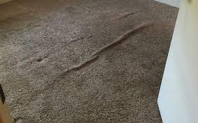 carpet stretching in peoria az