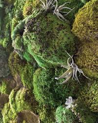 How To Make A Faux Living Moss Wall
