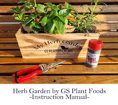 Herb Garden Gift Set Organic And