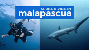 scuba diving in malapascua island the