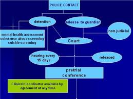 Flow Chart Of Juvenile Court Process