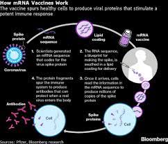 How access to mRNA Covid vaccines is dividing the world between haves and  have-nots