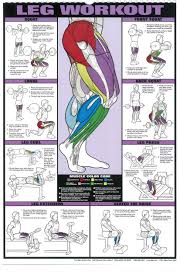 Pin By Fitness Fanatics Family On Lower Body Workouts