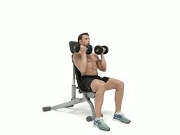 Seated arnold press video guide. Best Standing Dumbbell Arnold Press Gifs Gfycat