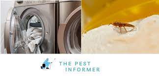 do bed bugs in the dryer how to