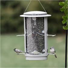x1 squirrel resistant bird feeder