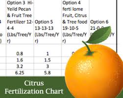 How To Fertilize Citrus Trees Kingwood Garden Center