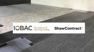 shaw contract leads with iobac magtabs