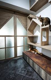 build a cat friendly home