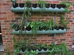 use of pvc pipe as vertical planter