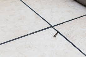 why tile is ed and how to avoid it